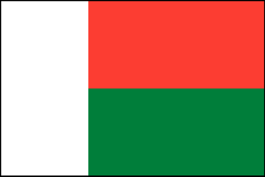 Image result for madagascar flag outline